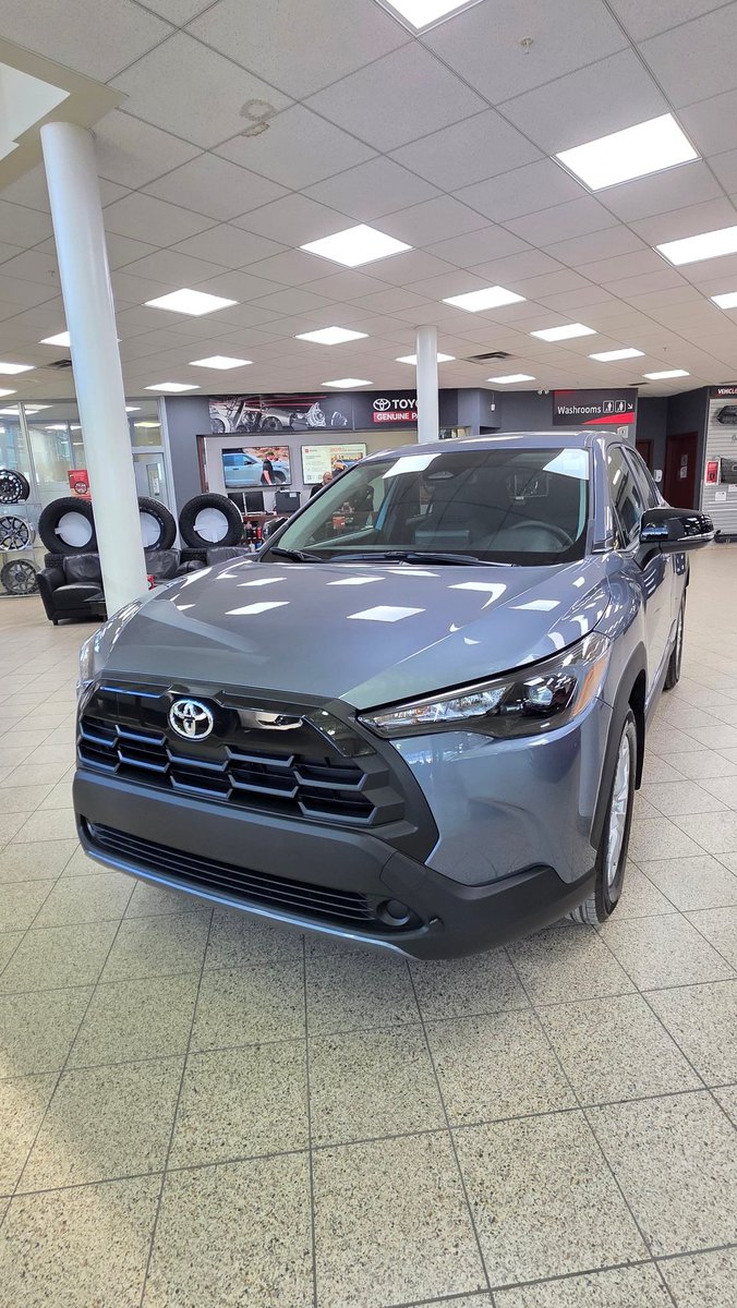 Slava Bunescu tweet media