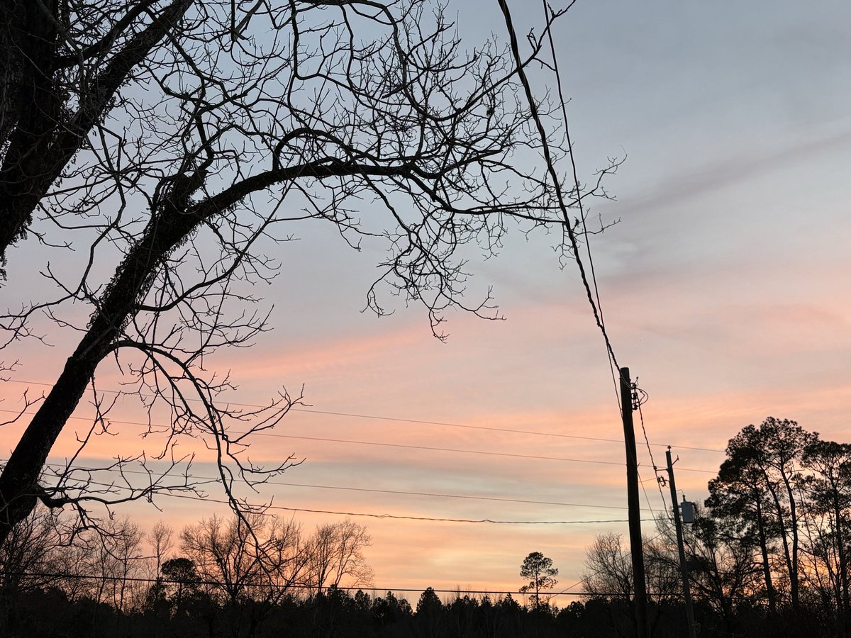 𝚋𝚛𝚒𝚝𝚝 𝚐 🐧 tweet media