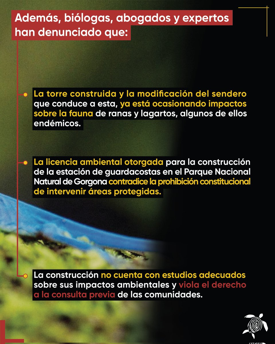 Comité Salvemos Gorgona tweet media