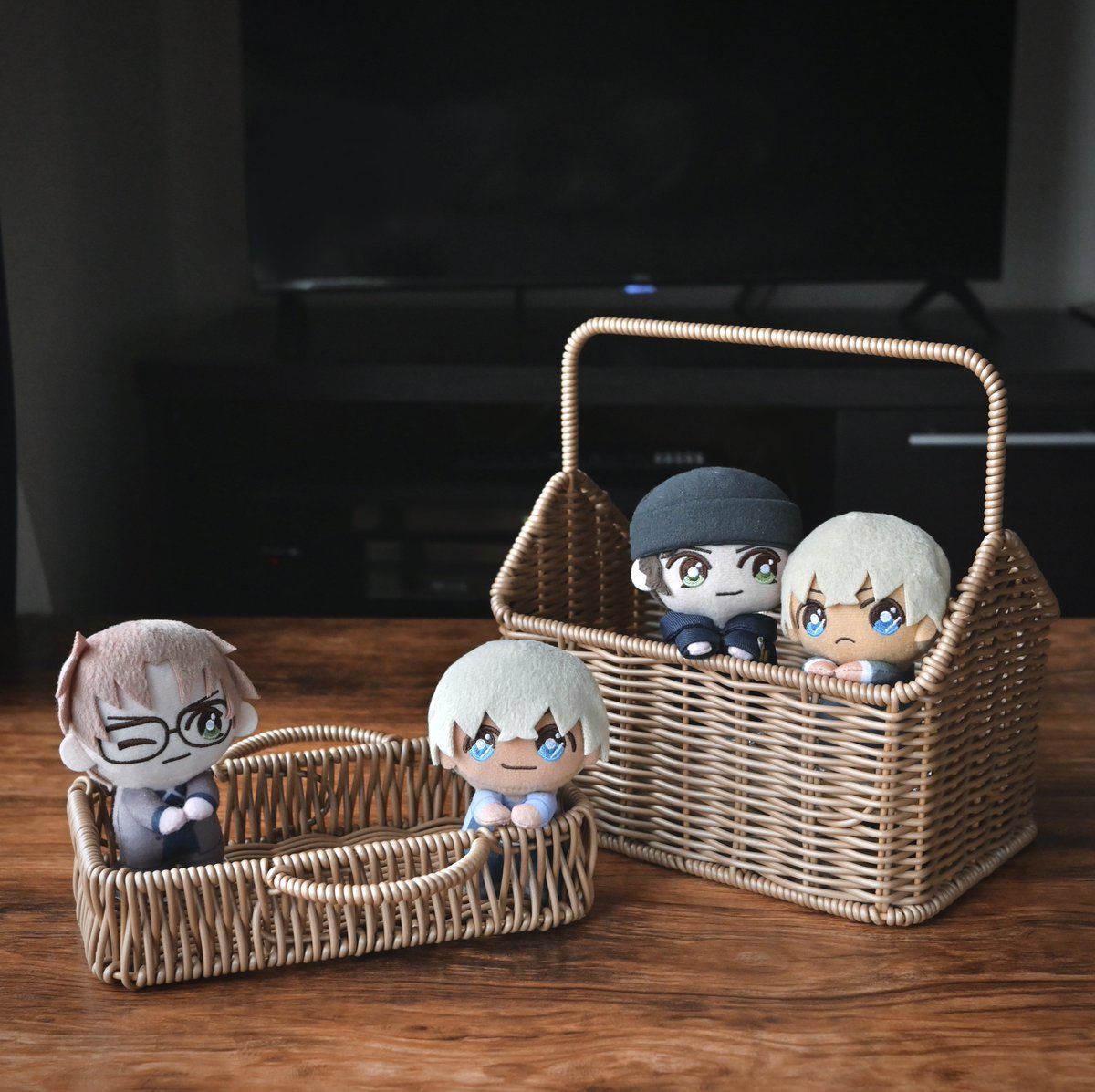 新しいぴょこ達のお家🏠✨