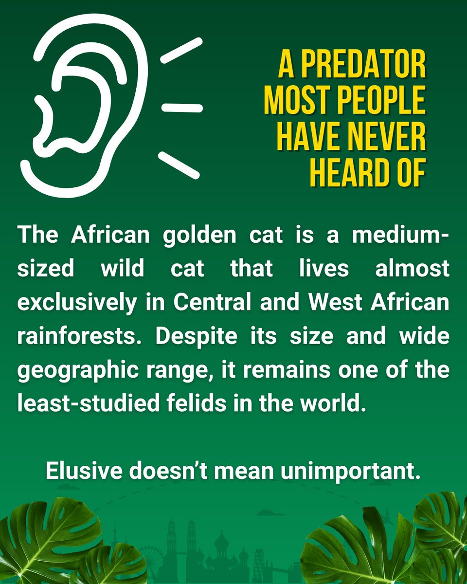 BigBiology tweet media