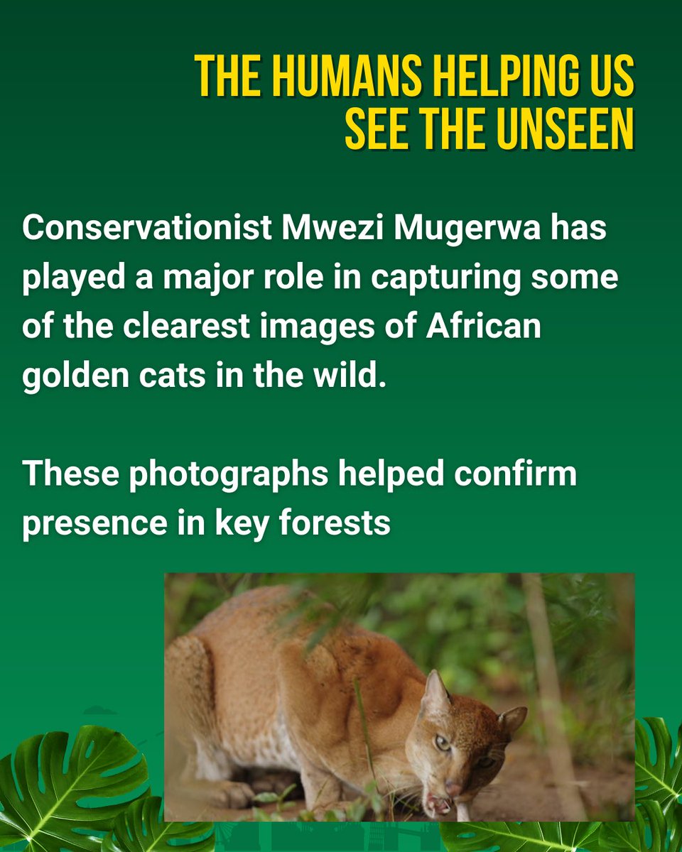 BigBiology tweet media