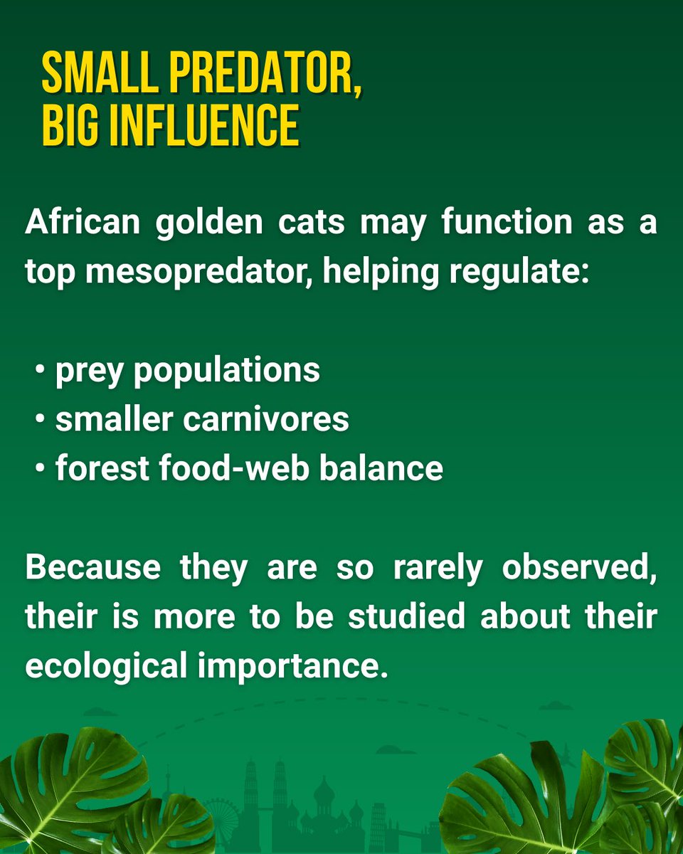 BigBiology tweet media