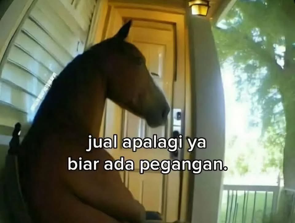 KiiBit's tweet image. Ketiduran asu"