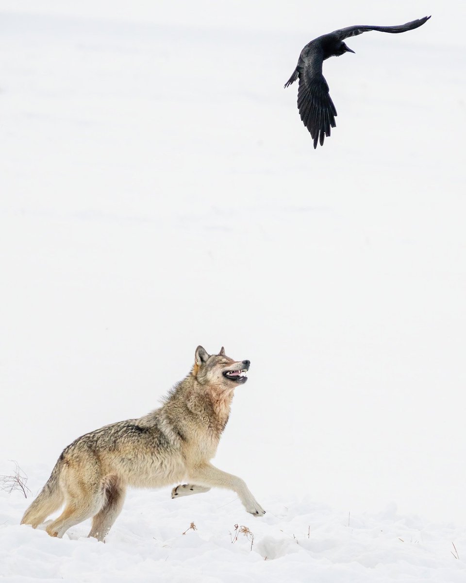 Photo by Nick Zimmer