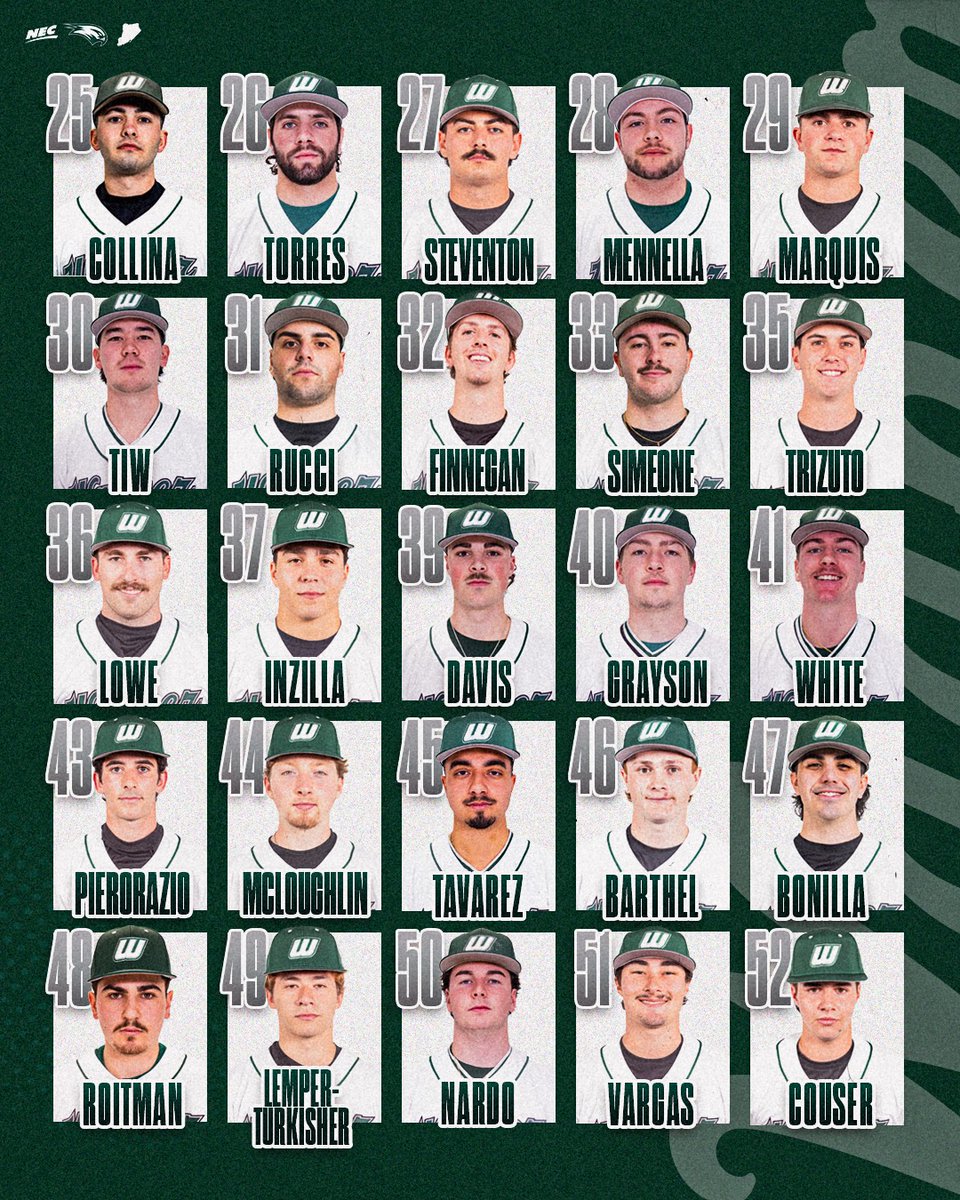 Wagner Baseball tweet media