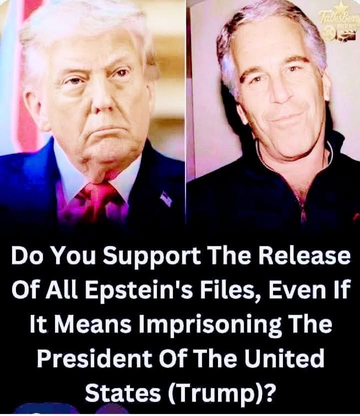 BraddrofliT's tweet image. 