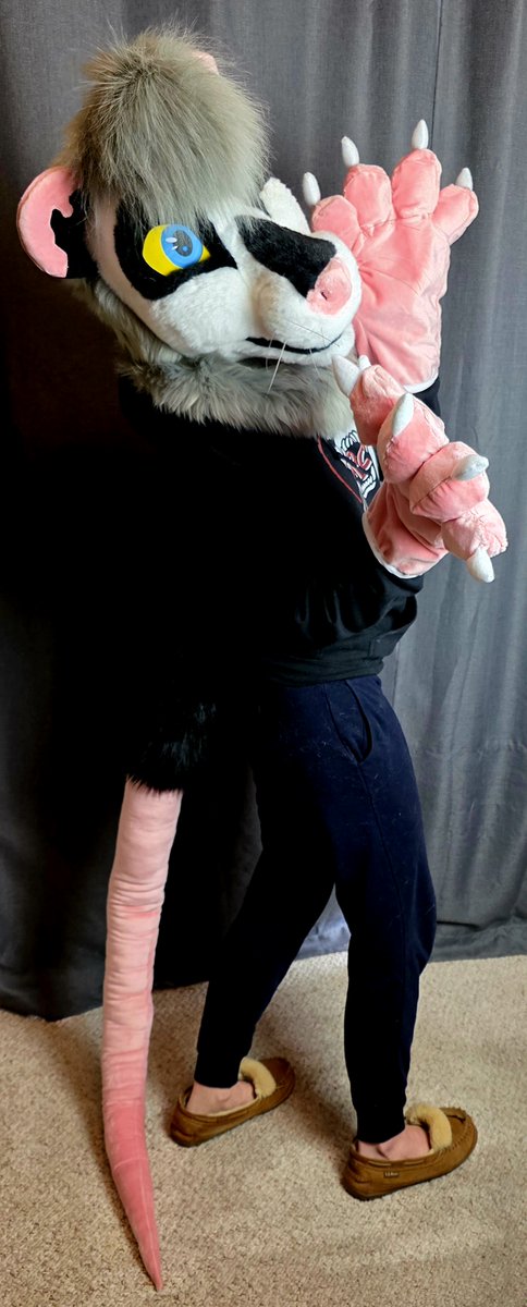 Ritz Costumes tweet media