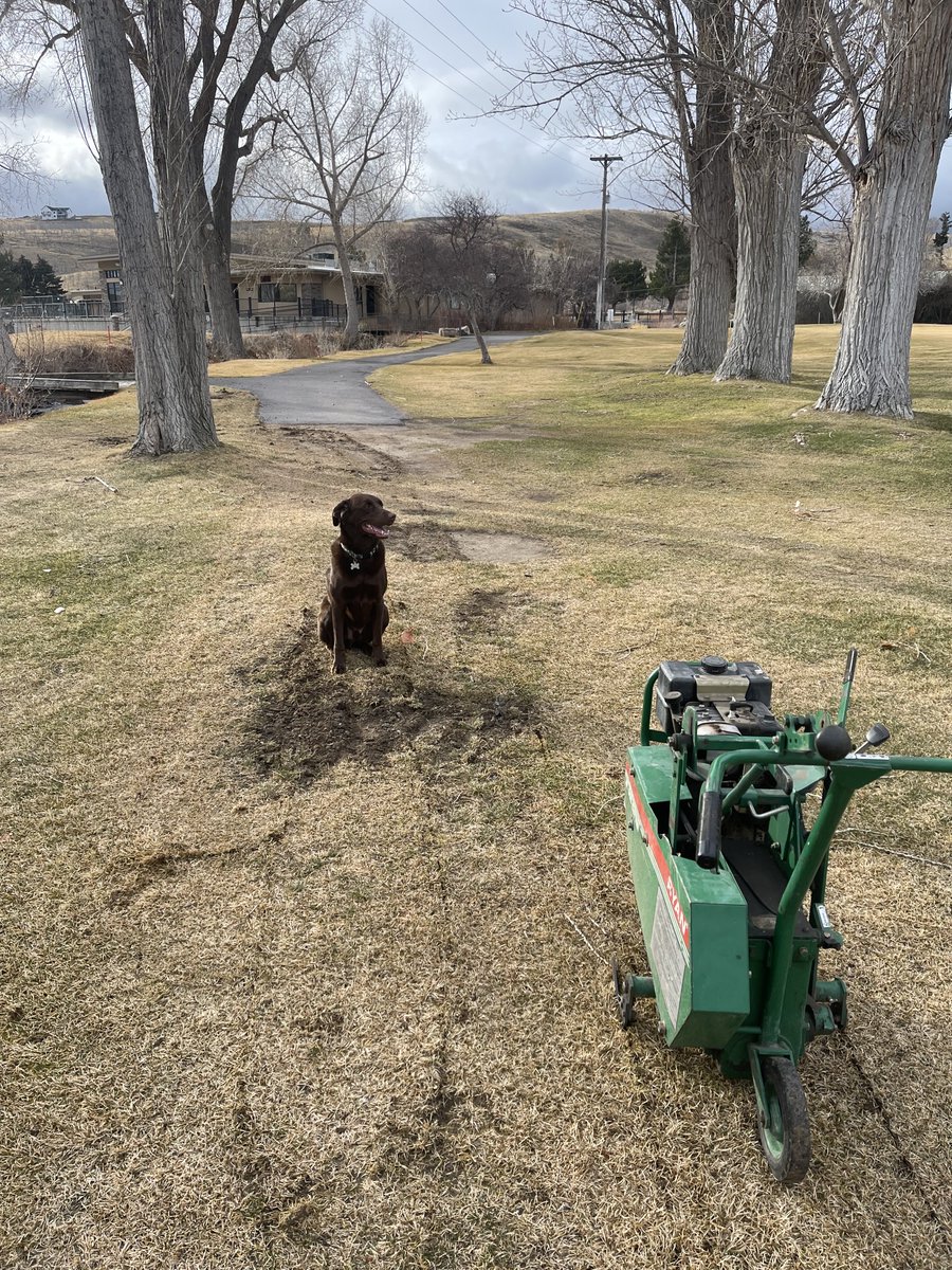 Richard Young tweet media