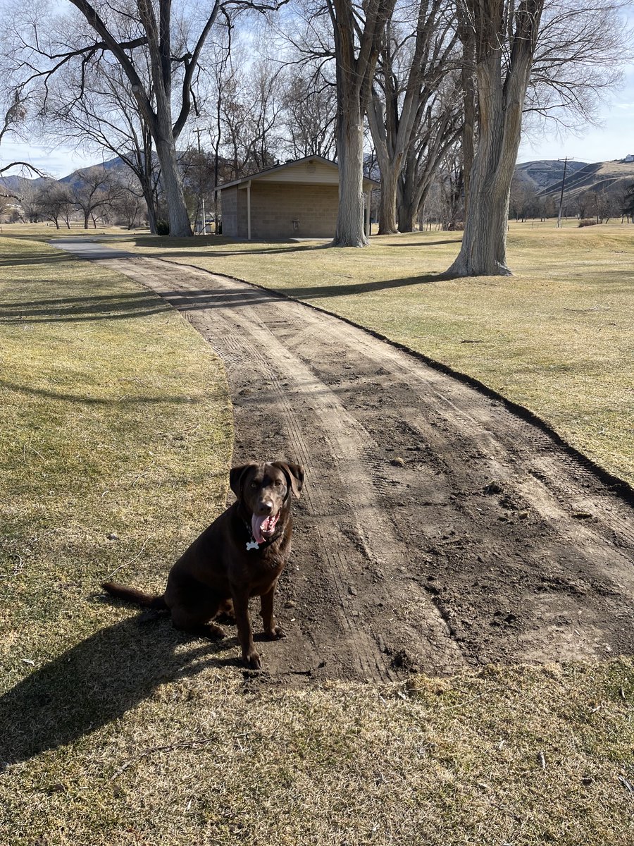 Richard Young tweet media