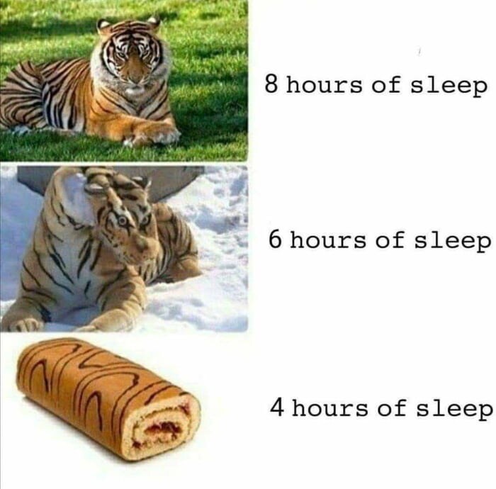 지금내상태: 롤케이크