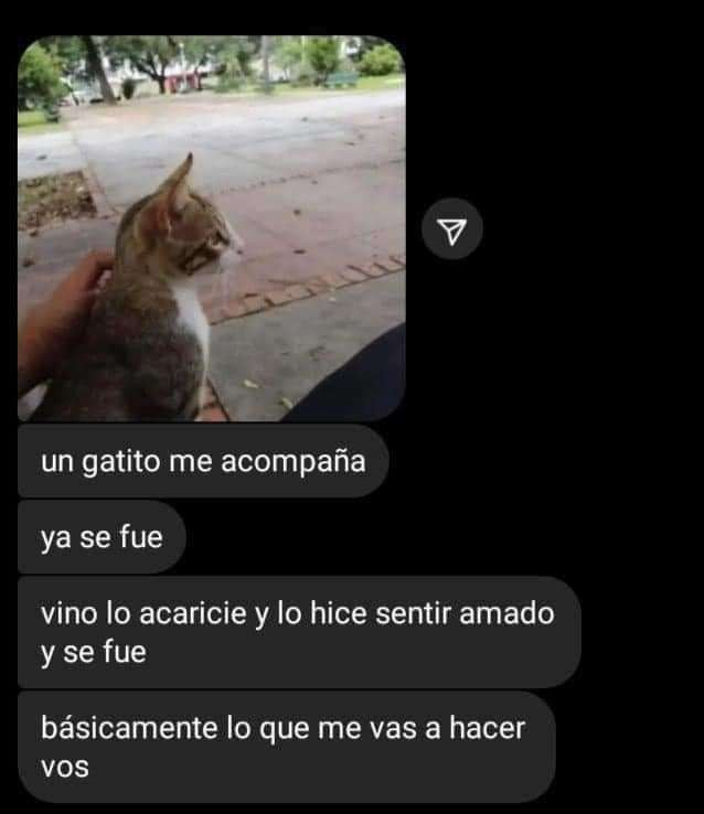 RIP UNICLUB 16/08 (@maxi1901_) on Twitter photo 