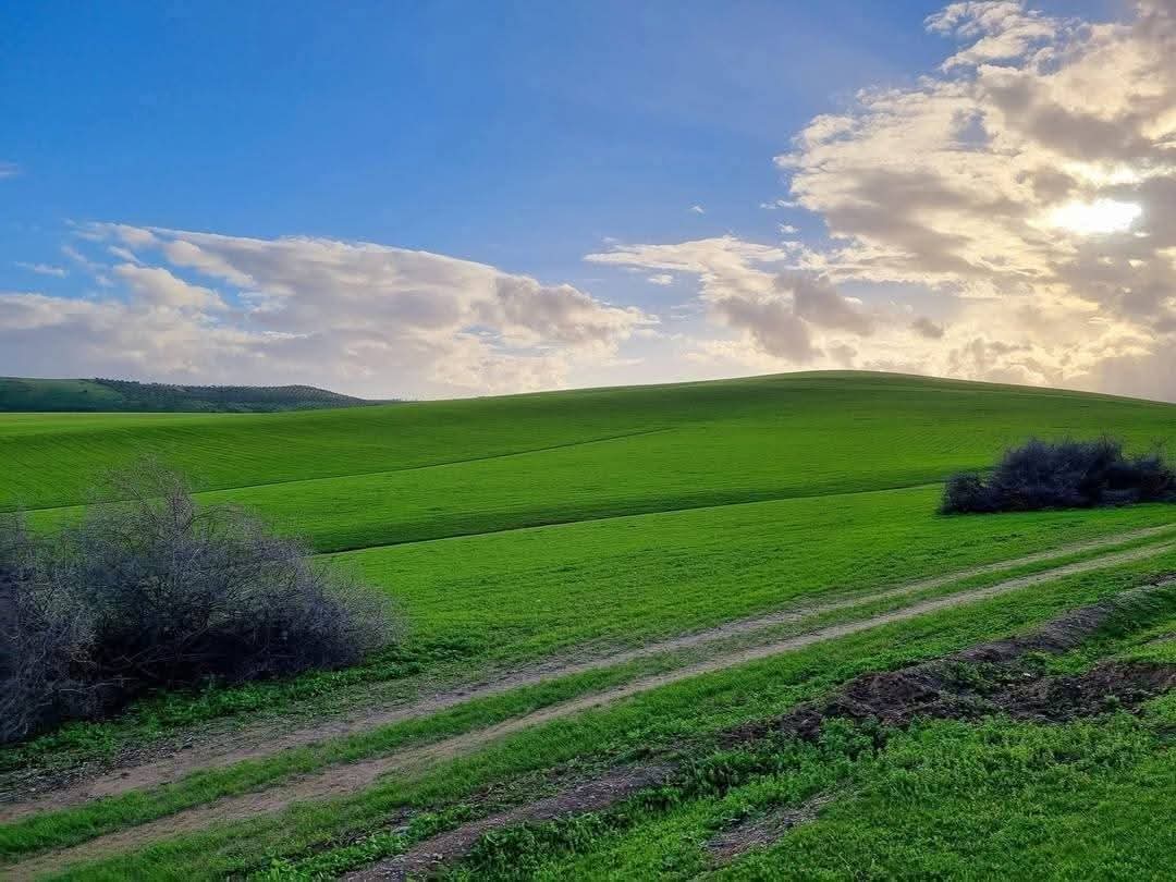 Kimachito's tweet photo. منطقة أيت سيبرن بالخميسات 
دكريات Windows XP https://t.co/tNuRNrBknx