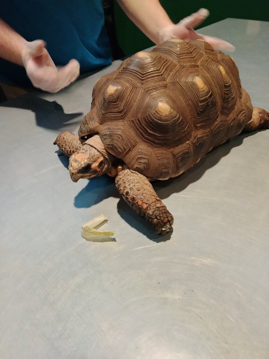 Met Gaia at the aquarium today for baby Saviors 9th birthday. Also I should probably stop calling her baby Savior at some point huh