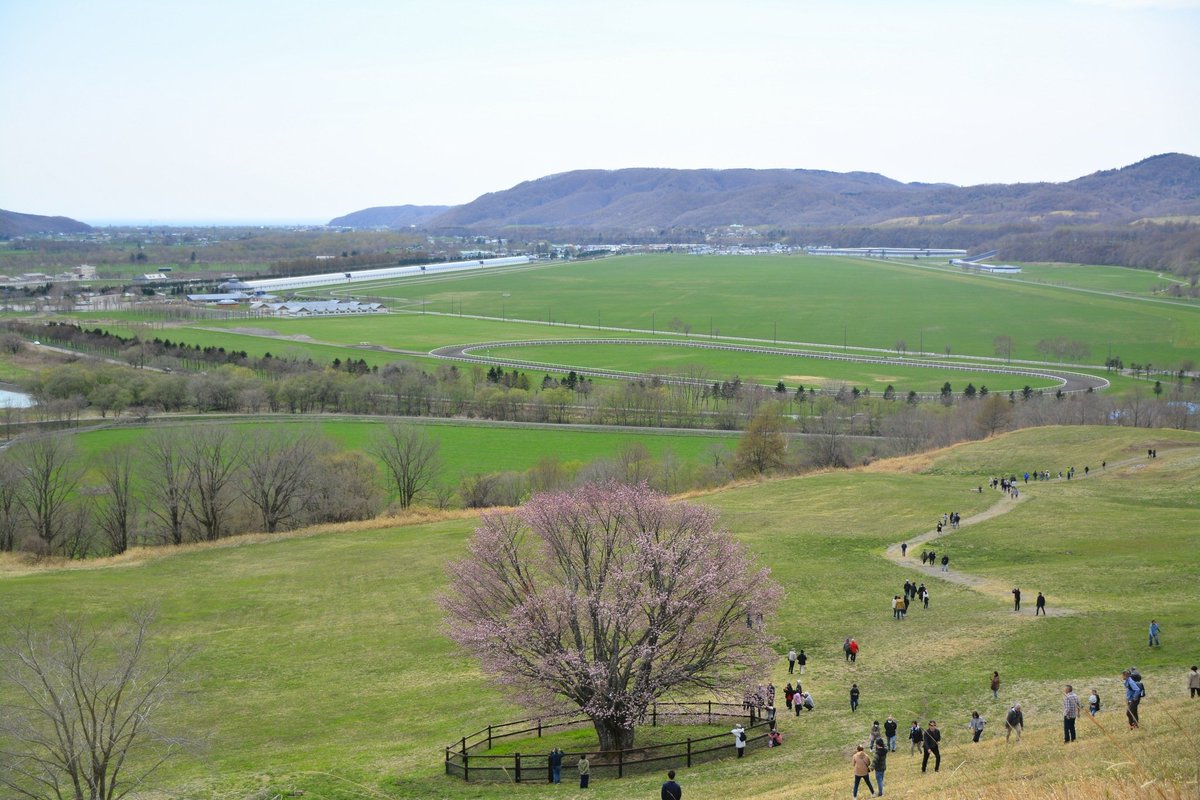 絶対今日撮っていないって分かる写真をあげる