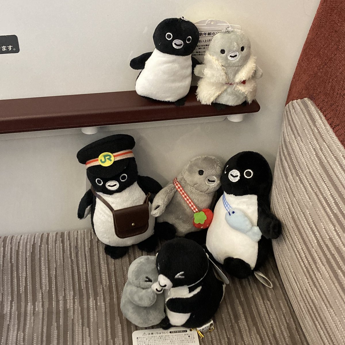 ぐっもーにんぐ、えぶりぺん！
🐧僕ら、初めてなおでペンですね、兄さん！
🐧うれしいなあ。ヘッドマークや社内トイレマーク🚻ばっかり見てきたからな

お母ペンの入院リハビリに付き添ってくれた手繋ぎさんと、モノ鉄おじさん家からのブルブルさんは初おでペンです

駅員さんがアテンドしてくれます