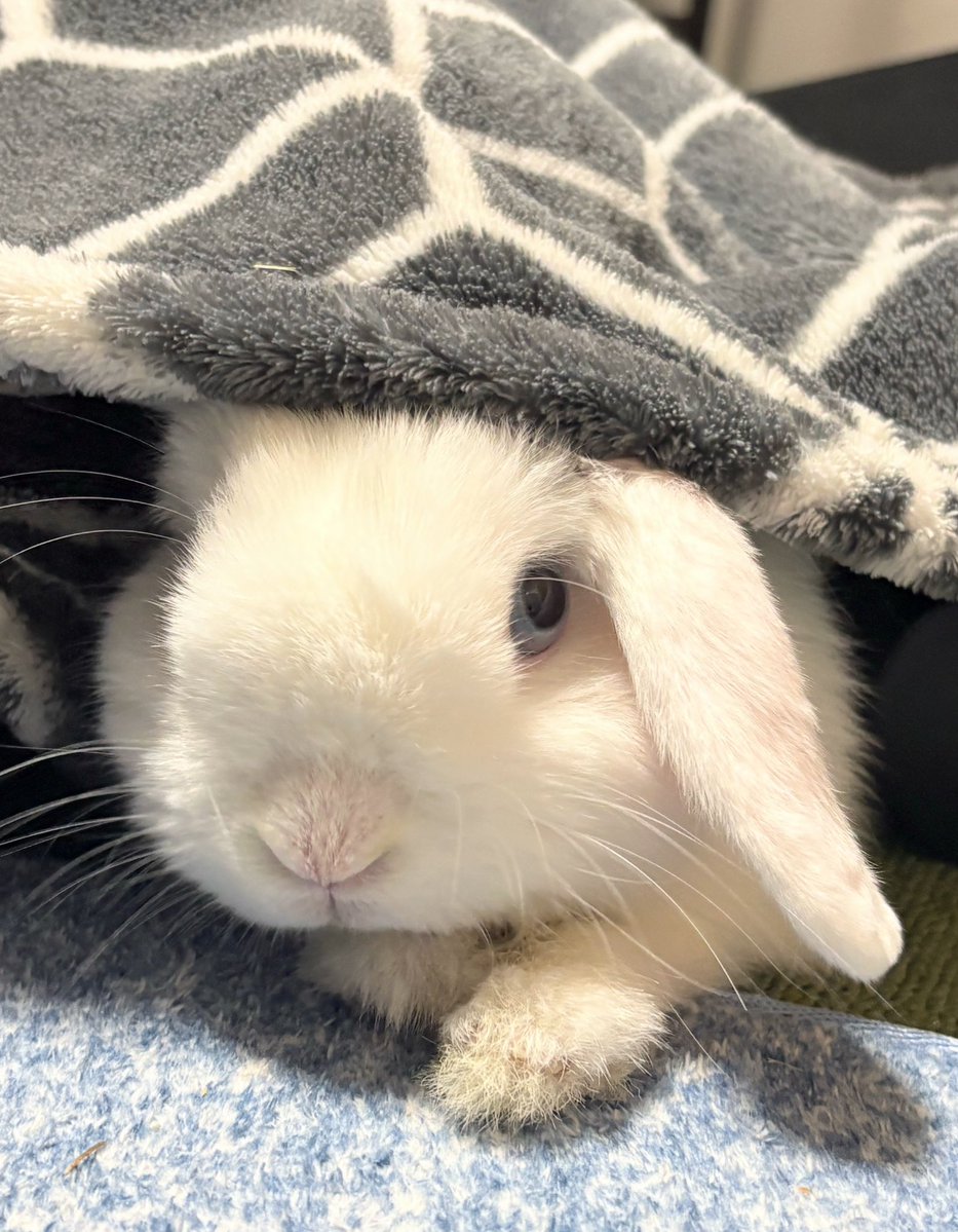 今日も寒いねー☔️