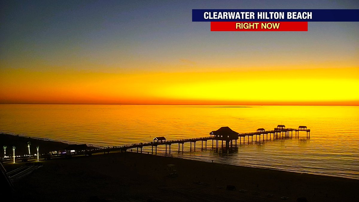 Now you know why it's called the "Golden Hour."

#Clearwater #Florida #sunset