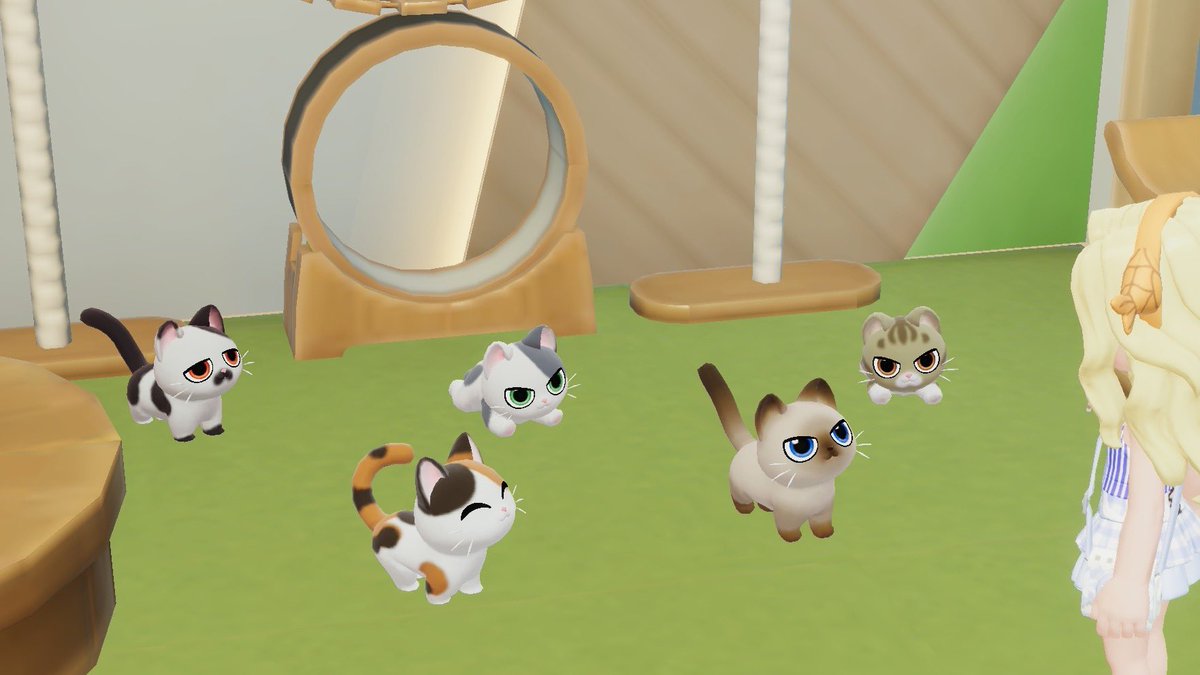 Akhirnya dikasih kucing gosong tp dia sensitif dan matanya kayak jjunie dirumah😭 maw ngelunjak maunya meng gosong tp matanya bulet biar semua mata kucingku beda2☹️