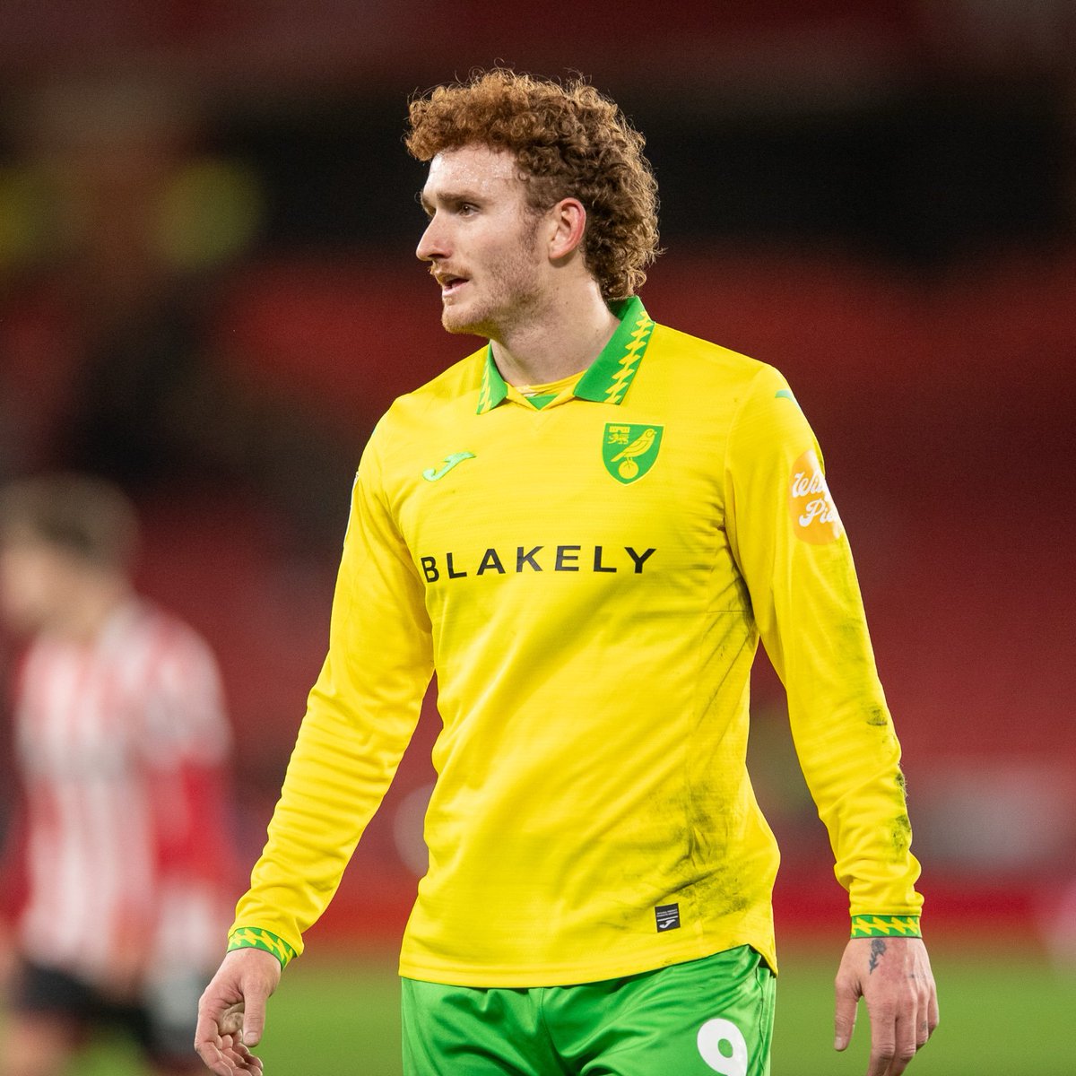 Norwich City desde que Josh Sargent pidió no jugar más hasta ser vendido:

7️⃣ Partidos
6️⃣ Victorias

Solo perdimos por la mínima contra el Middlesbourgh que es el puntero.

Yo siento que todavía esta a tiempo de arrepentirse, pero parece un caso cerrado.

0 inteligencia. 

#ncfc