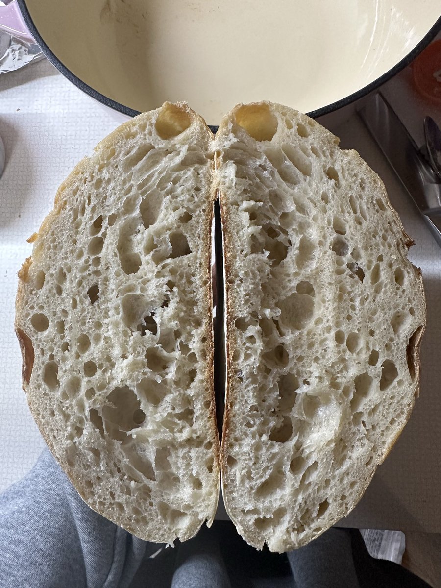 ttpdtypewriter's tweet image. she’s gorgeous. thank you all for coming along on this journey with me 🥸