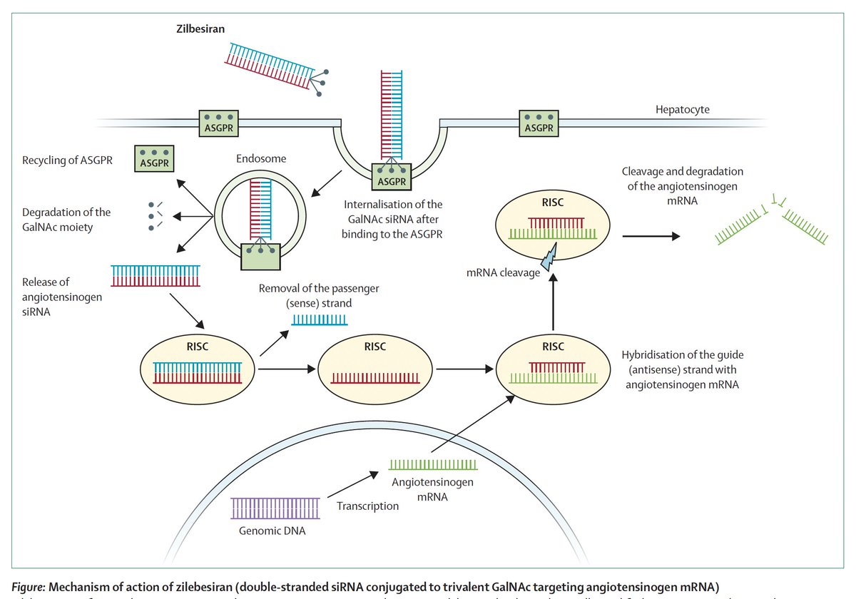 Eric Topol tweet media