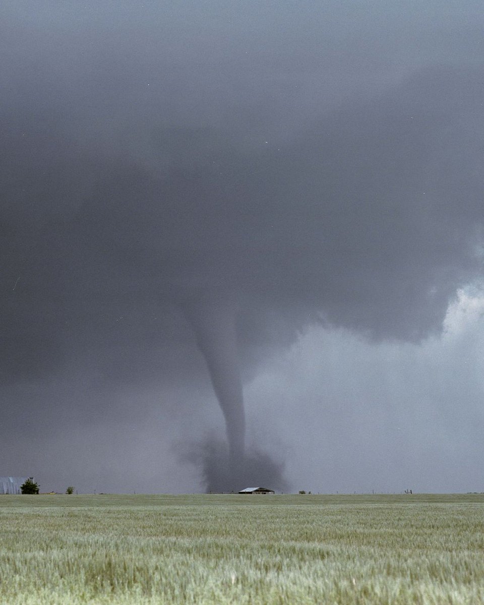 MacGillivray Freeman tweet media