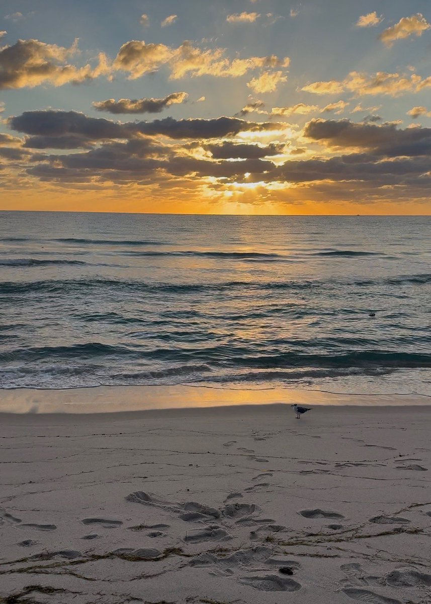 Eric Boles tweet media