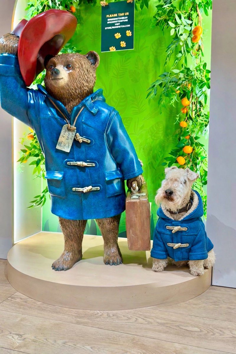 I’ve been so lucky done so many things been so many places but in September I got to meet one of my hero’s at Paddington Station ❤️❤️