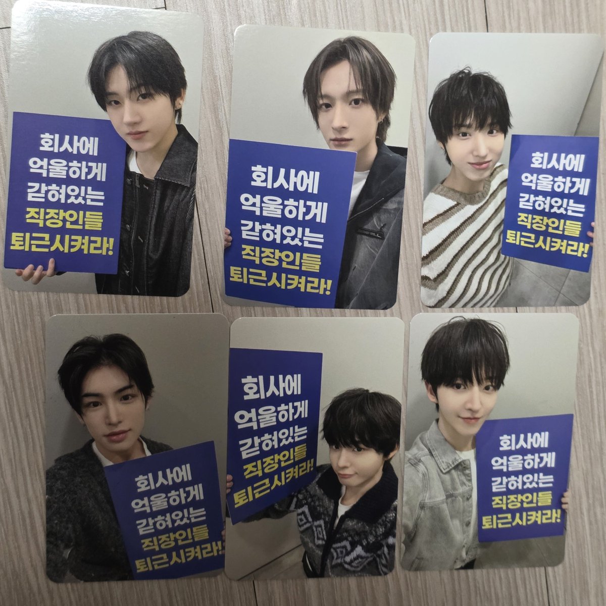 폴짝 tweet media