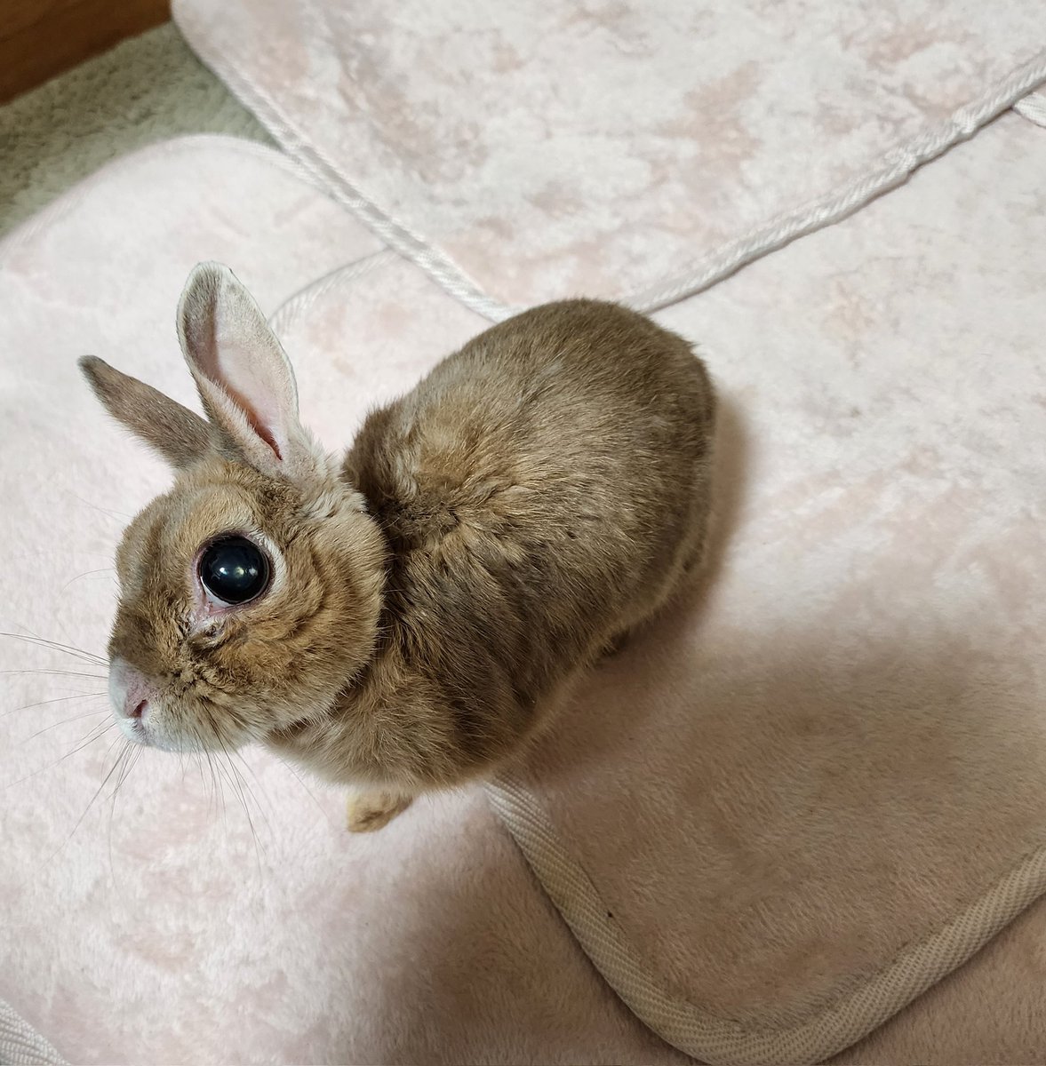 mugimugi1218's tweet image. 移動中～