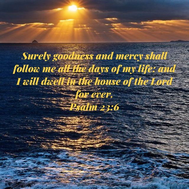 road_salvation's tweet image. REST WITH THE WORD: Bedtime Reflections

God’s goodness and mercy follow you — not to punish, but to bless and keep you. “Lord, let Your goodness and mercy rest over my night.” Psalm 23:6
#RestWithTheWord #Psalm23