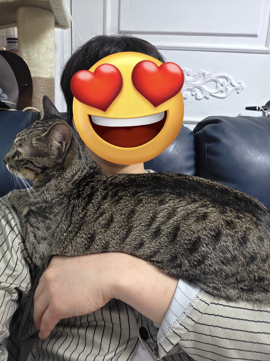 요즘은 아침에 일어나면
솔로몬이 이 자세를 좋아합니다요!