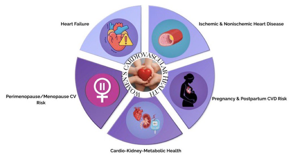 DrMarthaGulati's tweet photo. Our editorial in @JCardFail @dranulala @robmentz 
“Heart Month & Her Heart Reimagined”

We speak of #GoRedforWomen & CAD but we need to start thinking about Her Heart & #HeartFailure #HeartFunction across the lifespan #functionnotfailure #CVprev 
🙏🏽 Anu & Rob for including me in this important piece ♥️
📎 https://t.co/IGUoKbqYdi