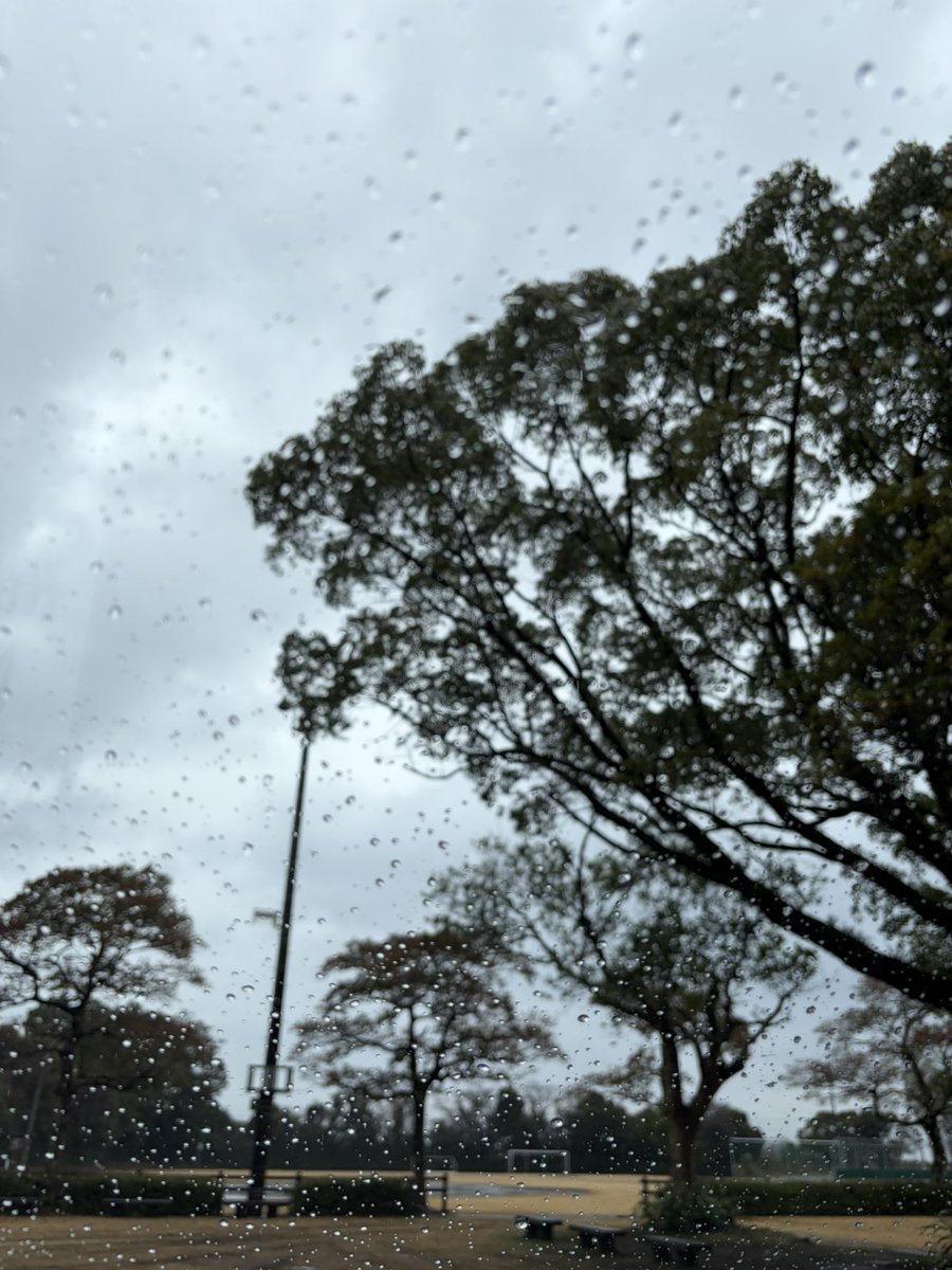 Kn2838Nk's tweet photo. 雪の次は雨かぁー。泣 https://t.co/ypsOQGy7MQ