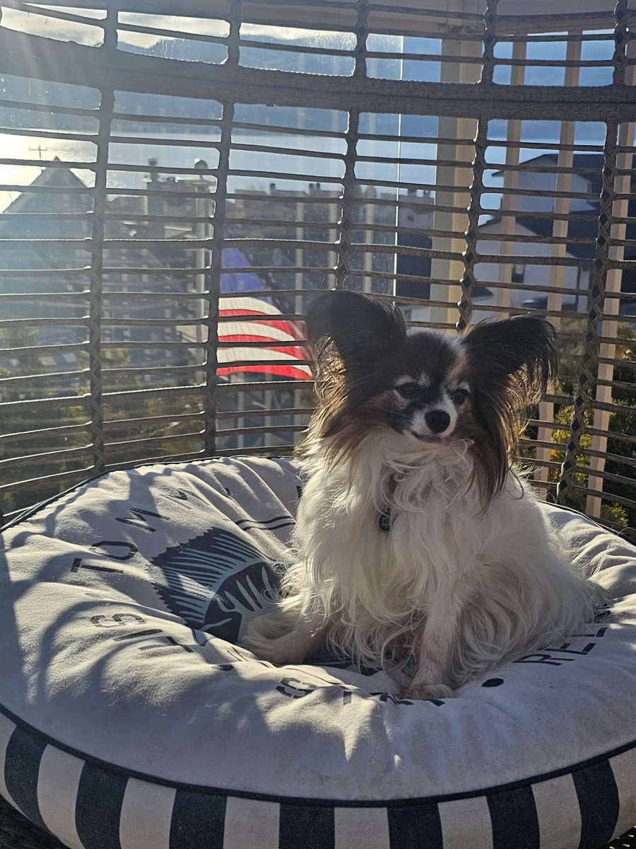 Beth Dutton tweet media