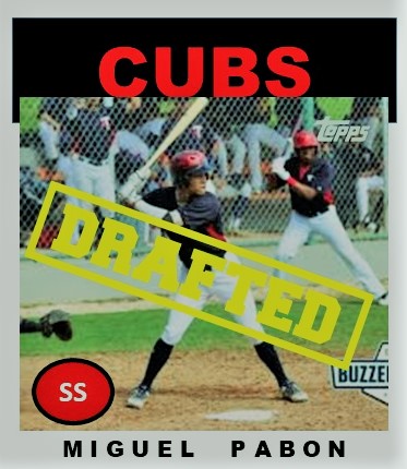 CubsCentral08's tweet photo. Good luck to Miguel Pabon who signed with the Washington Wild Things in the Frontier League. 100% class dude and leader. https://t.co/CwagutxRB3