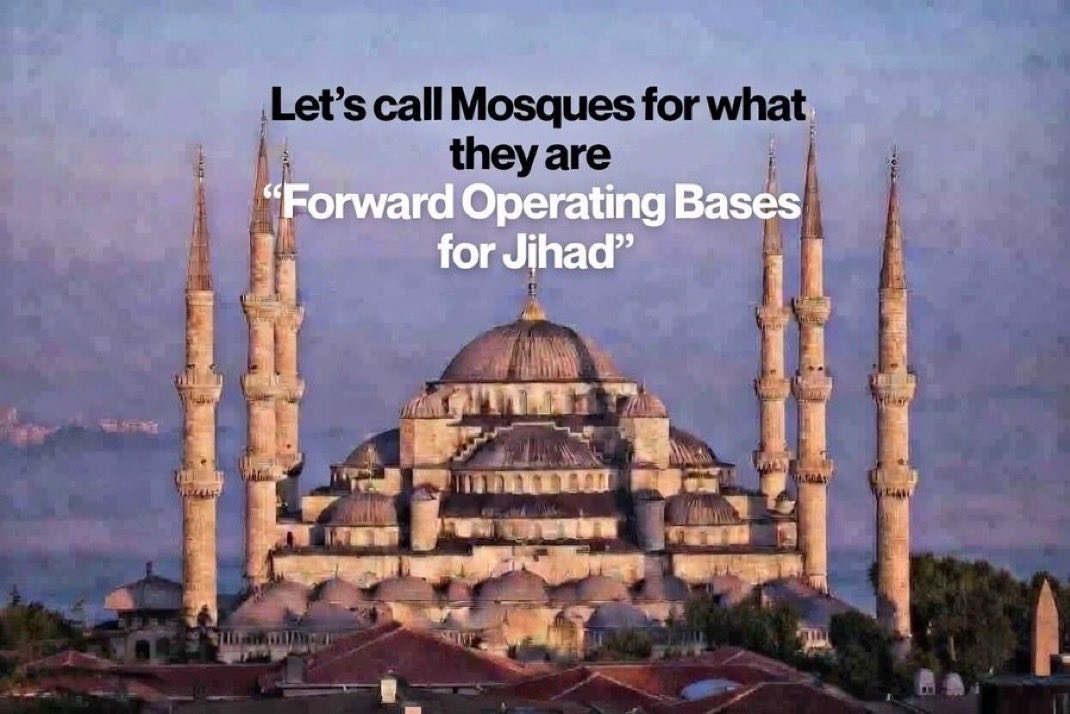 John_MAGA tweet media