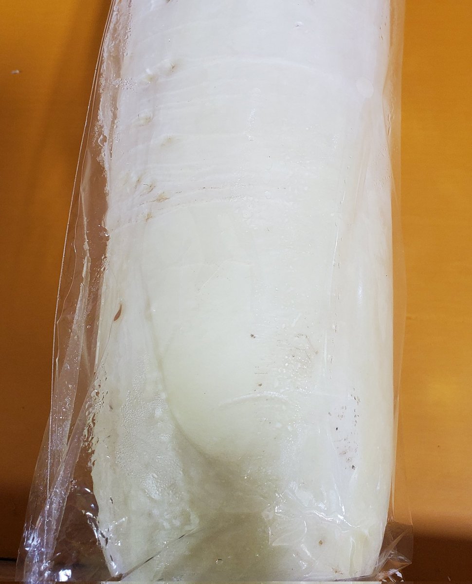 今日のオススメは、青首大根です😃🎵
とにかく1本が重たい❗太くて食べ応え抜群です😃
かっけとあわせて煮て食べました🎵
かっけよりも存在感がハンパない❗
煮物にオススメです✨
南郷直売所で販売中‼️