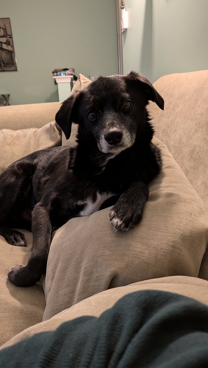 Duke is ready for his second dinner...