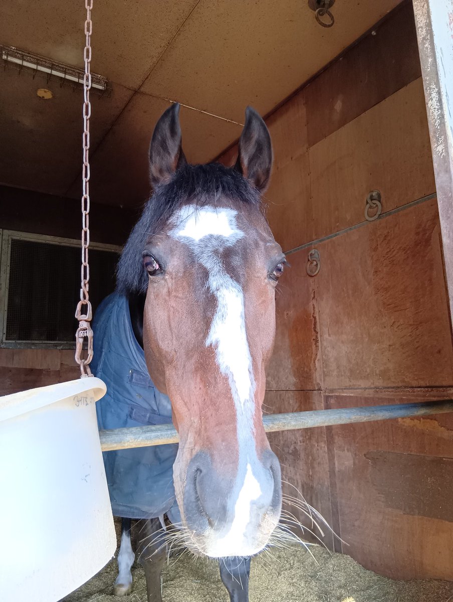 カワグチメロ (@jLbSZ6LKijacf40) / Posts / X