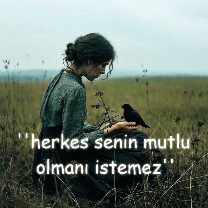 söz gülü tweet media