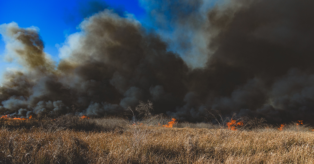 Polk Fire Rescue tweet media