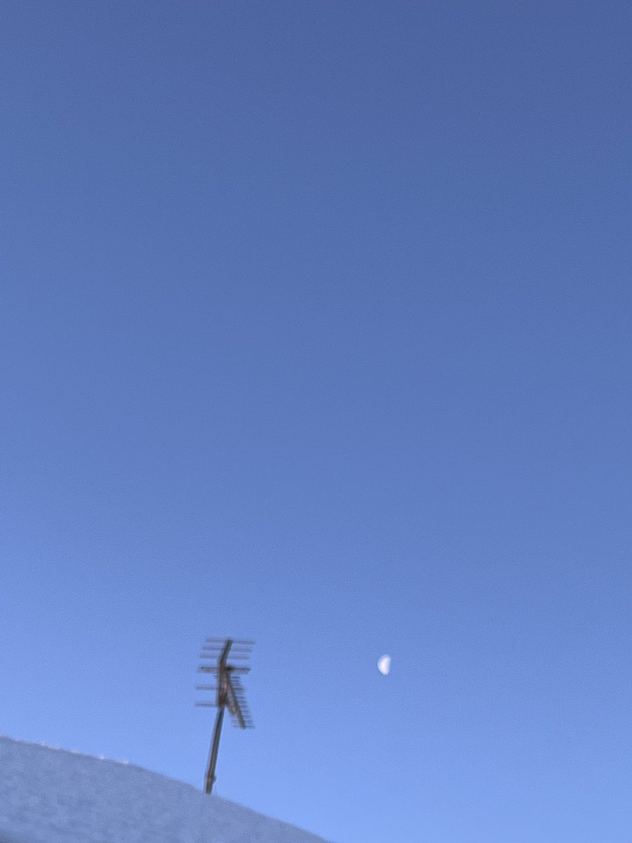 よくわからない焦り…。
欠乏感を埋めようとしてあれこれやらないといけないと思い込み、無理矢理予定を入れたりしていた。すでに自分の心の器は溢れて抱えきれていないことに気がついた。まさにブレている。