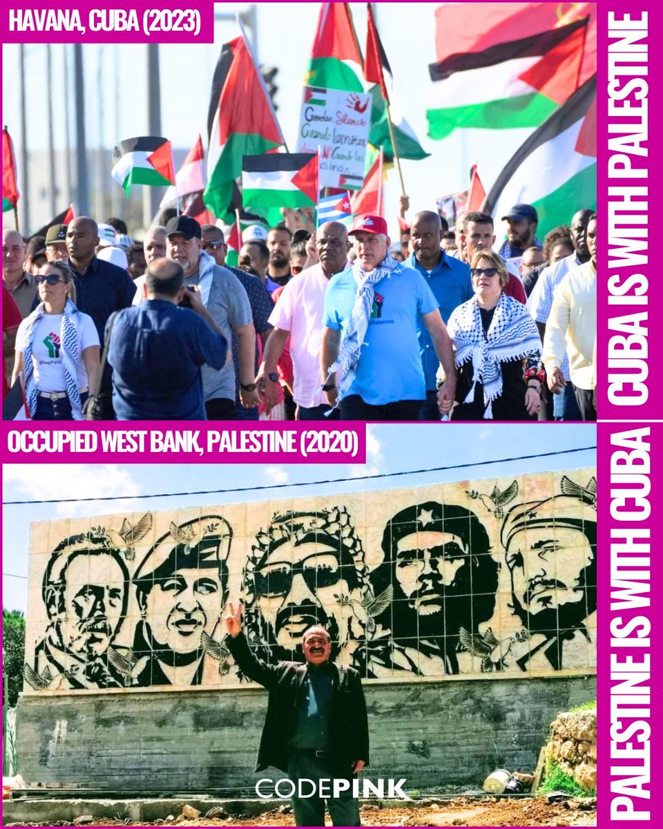 codepink's tweet image. 