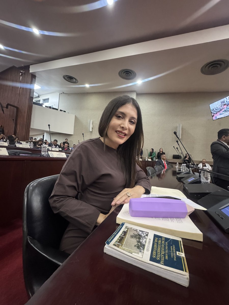 Iroshka Elvir Diputada tweet media