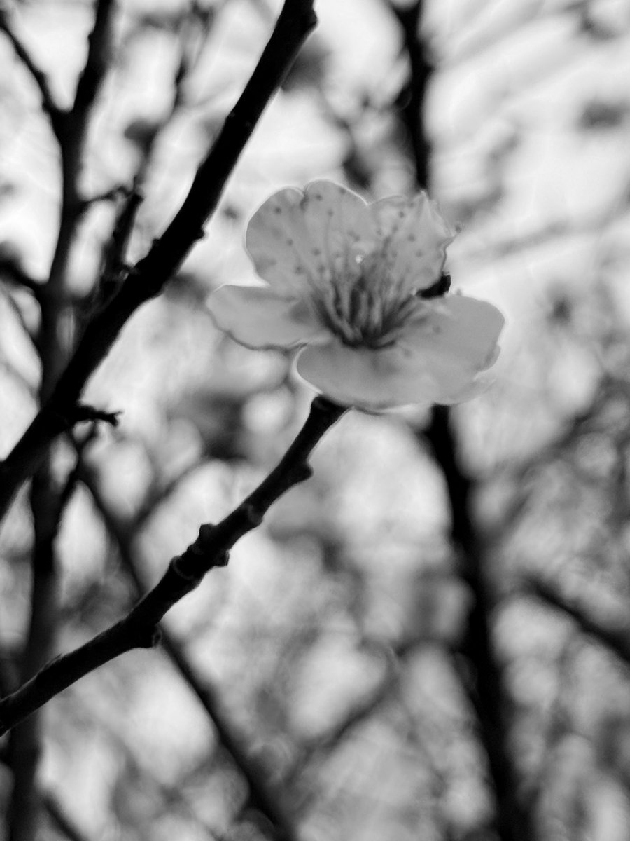 おはようございます🌧️

外は寒いし電車は暑い🫠
服がわからん