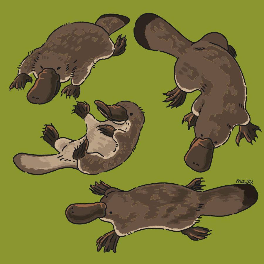 ます本なつみ（masu） tweet media