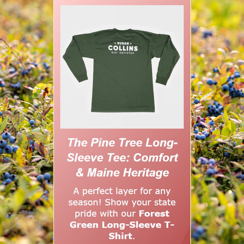 Libby Chamberlin tweet media