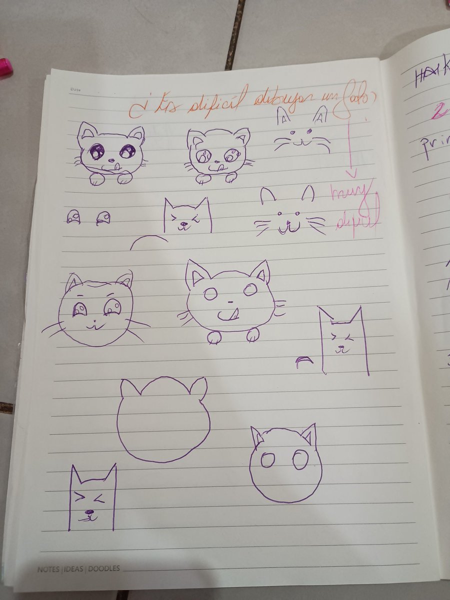 Es más fácil escribir un haiku que dibujar un gato.

Noche y verano 
Mi dibujo es pésimo 
Yo quiero mi gato.

#haiku
#gato